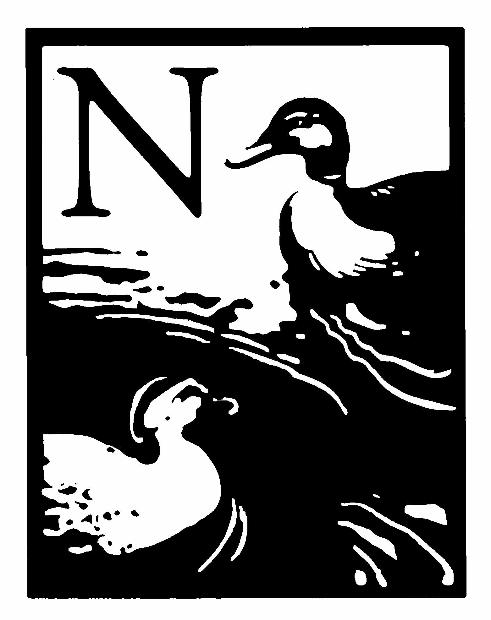 the letter N redraw copy.jpg