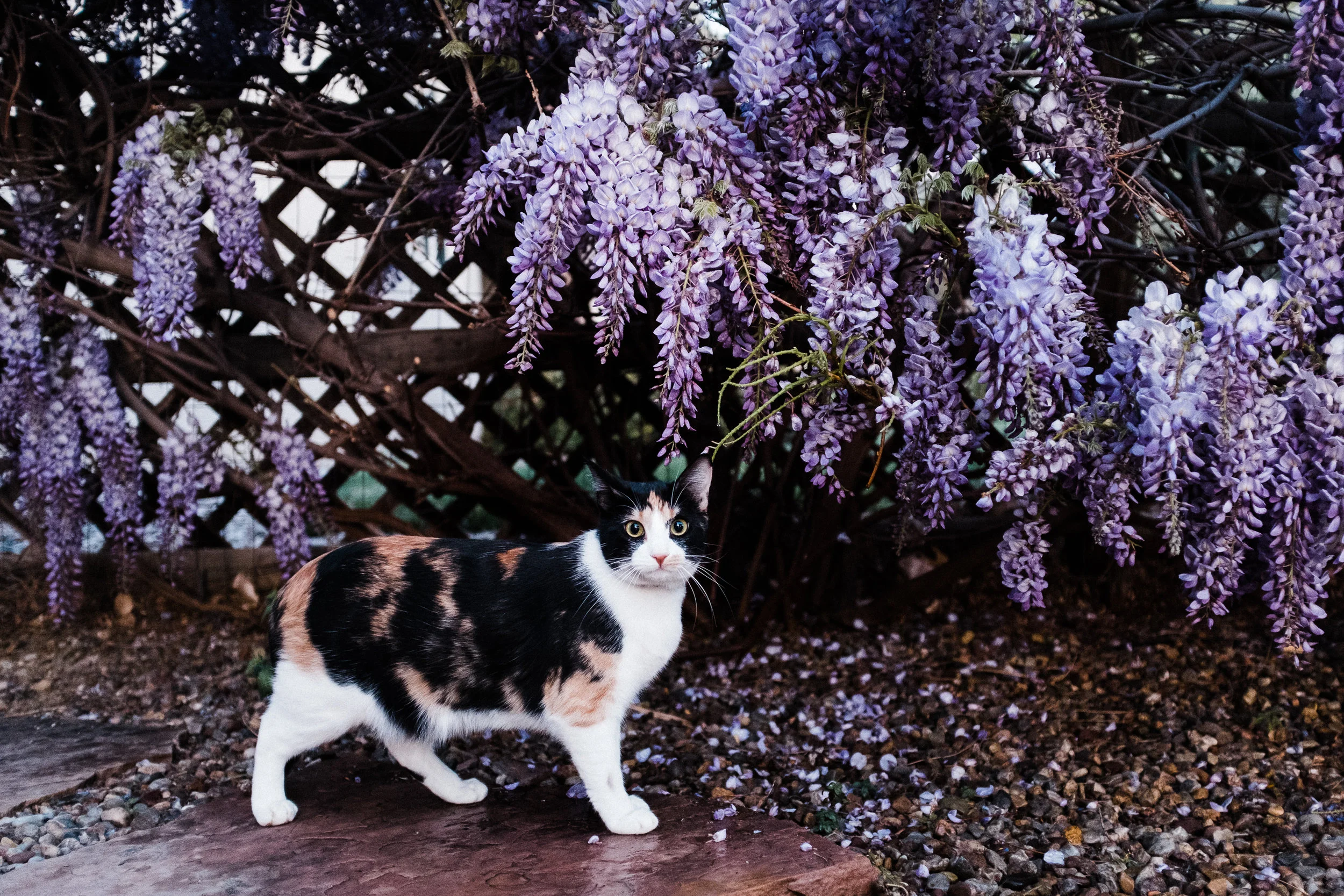 DSCF3916.jpg
