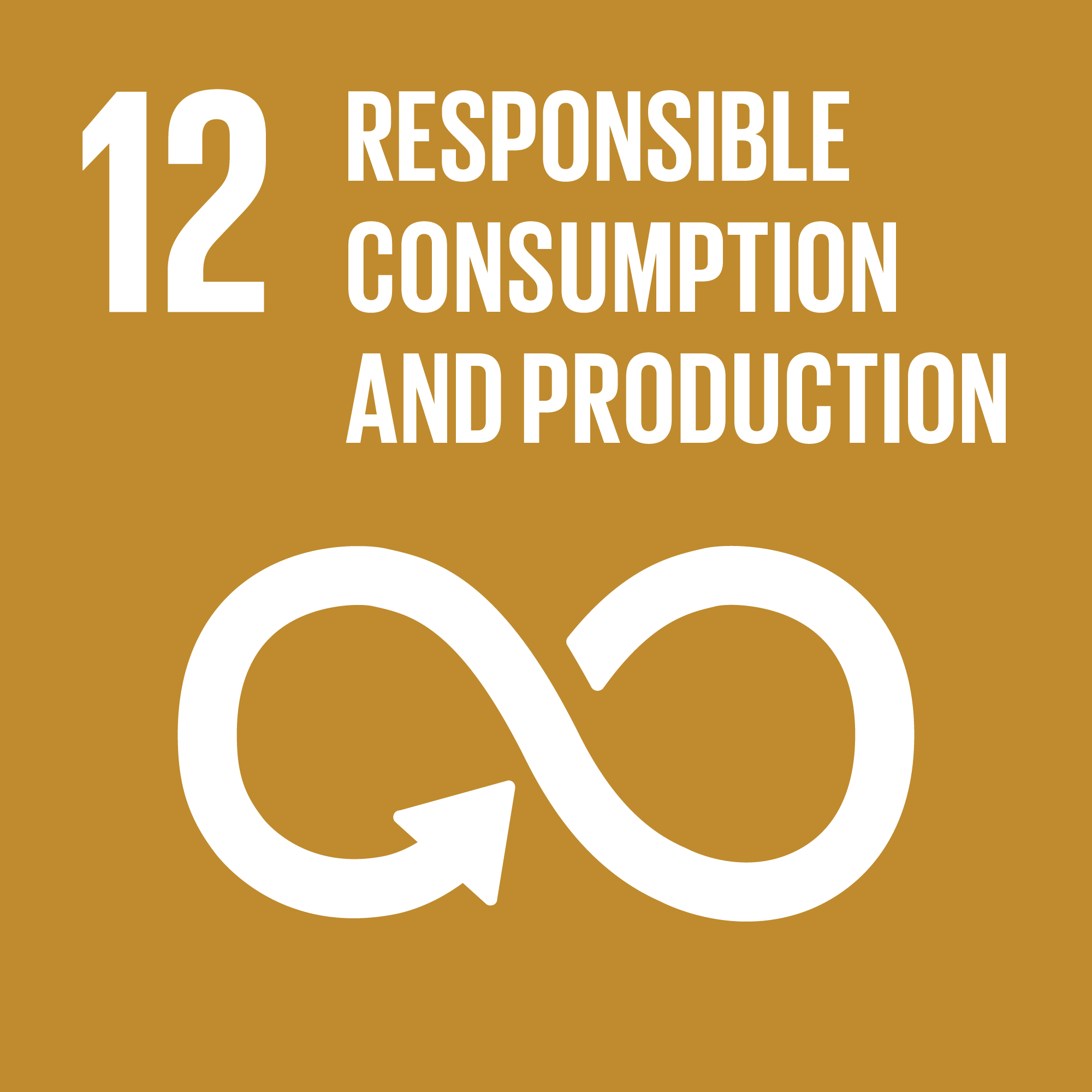 un-global-goal-12-responsible-consumption-production.png