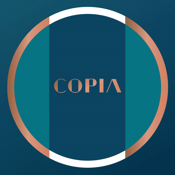 COPIA-animation2.gif