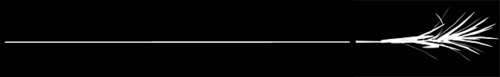 the+sugarcane+line.jpg