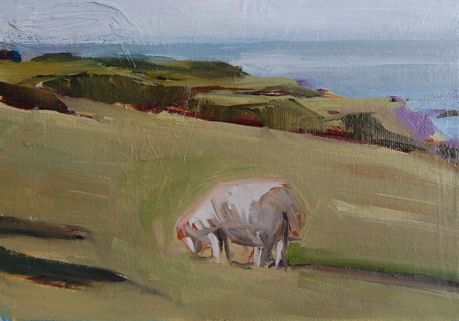 Gower Sheep - SOLD