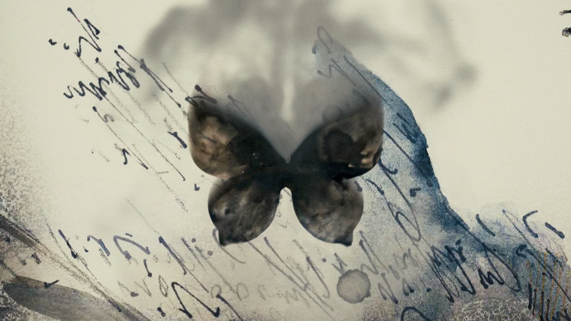 Smokey Butterflies ~ Collaborative Mapping 2017 - present