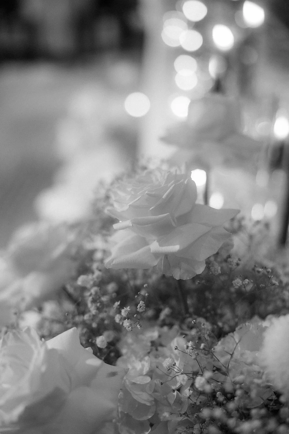 2024-8-21-Nicole+Reiss-wedding-sneakpeek-53_websize.jpg