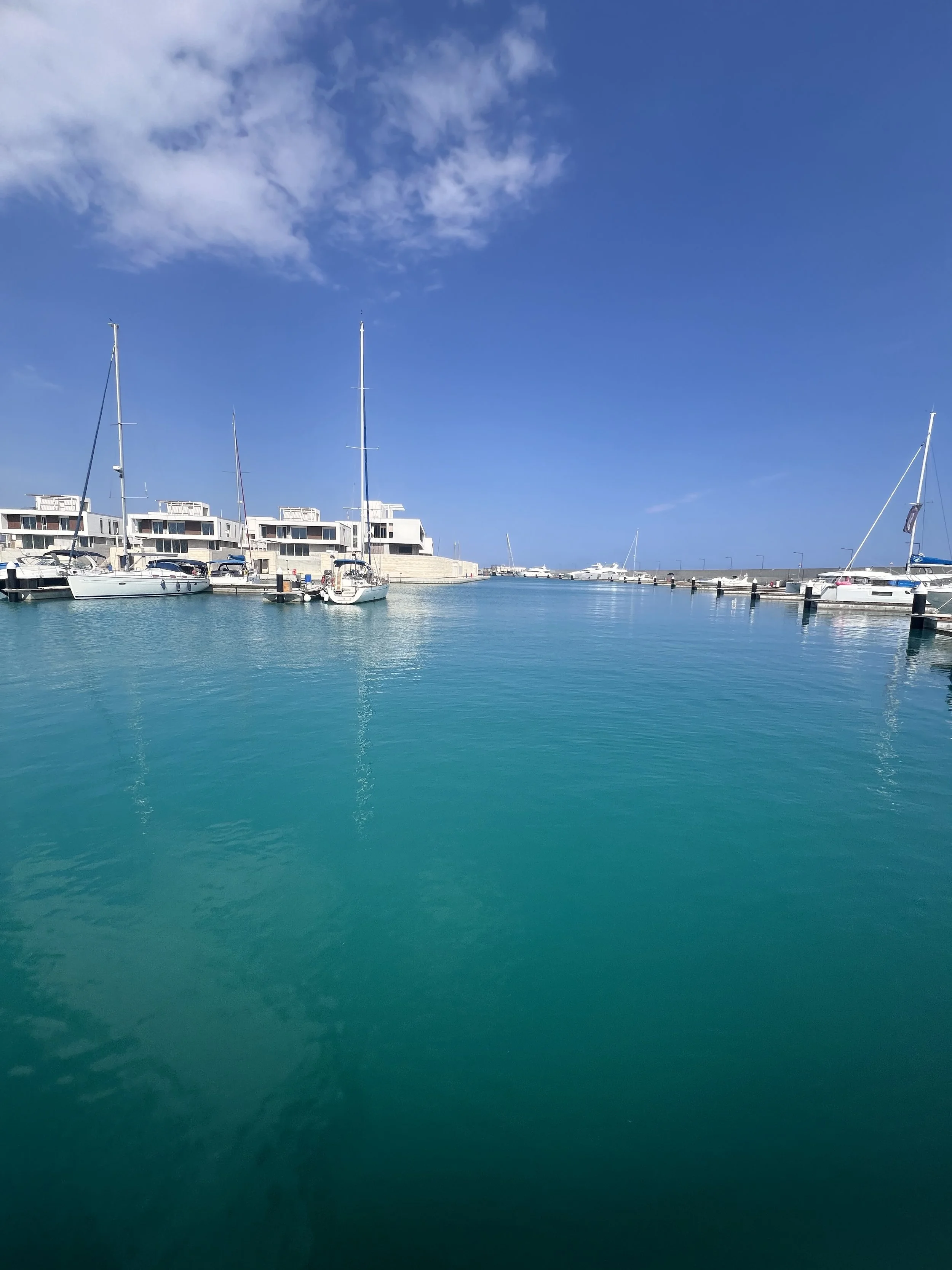 IMG_3059.jpeg