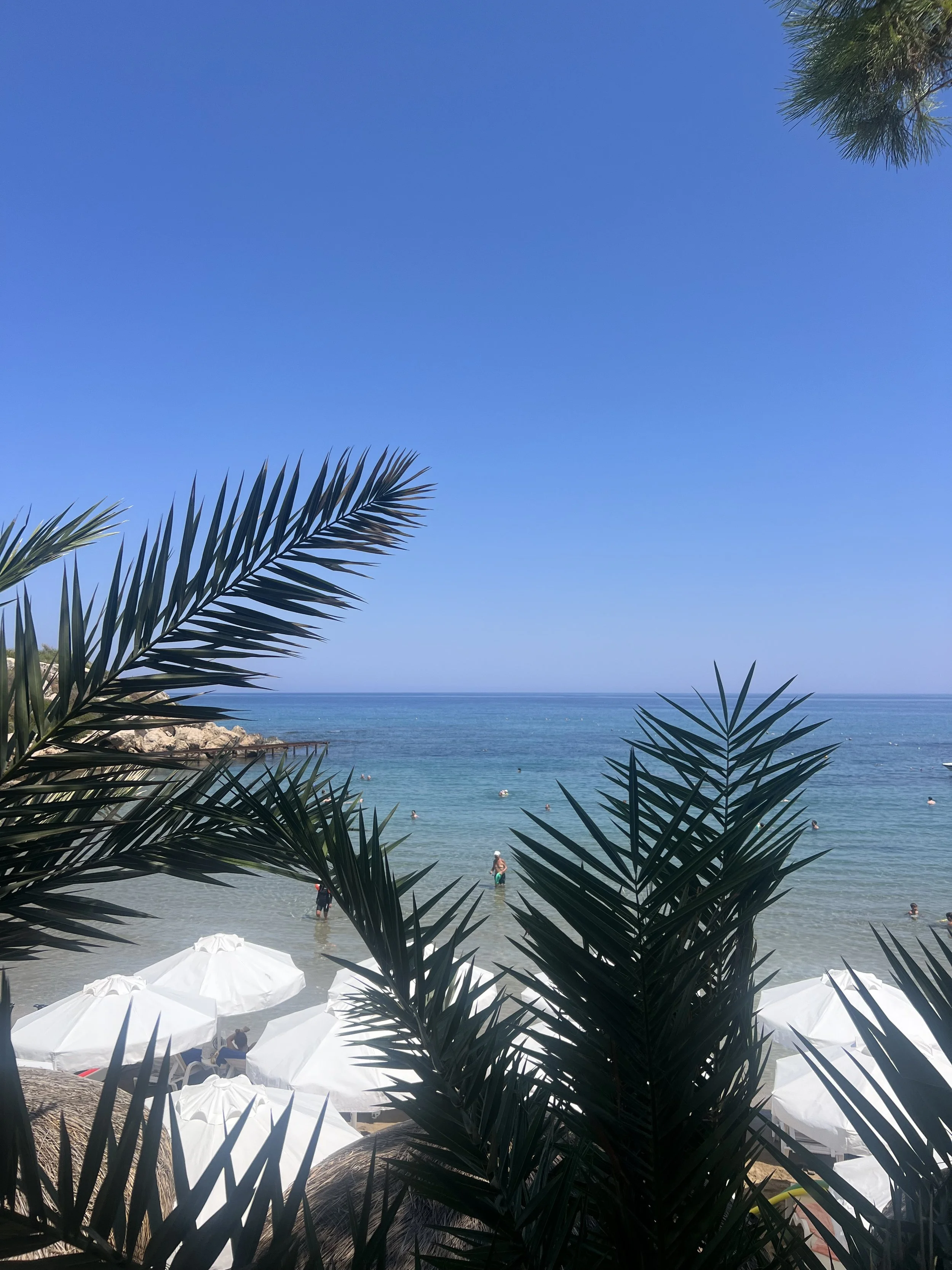 IMG_3151 3.jpeg