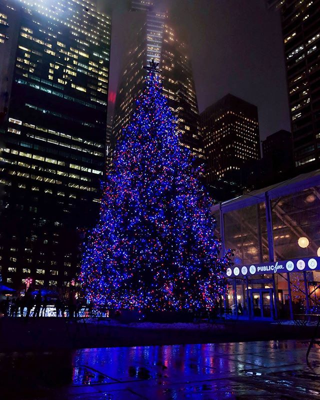 More Christmas trees should be blue!
Bryant Park, NY

#christmastree #christmas
#bryantpark #nyc #manhattan #tlpicks #stellerstories�#thecreatorclass #icapturedaily
#passionpassport #igtravel #natgeotravel
#lonelyplanet #redditphotography
#igmaster