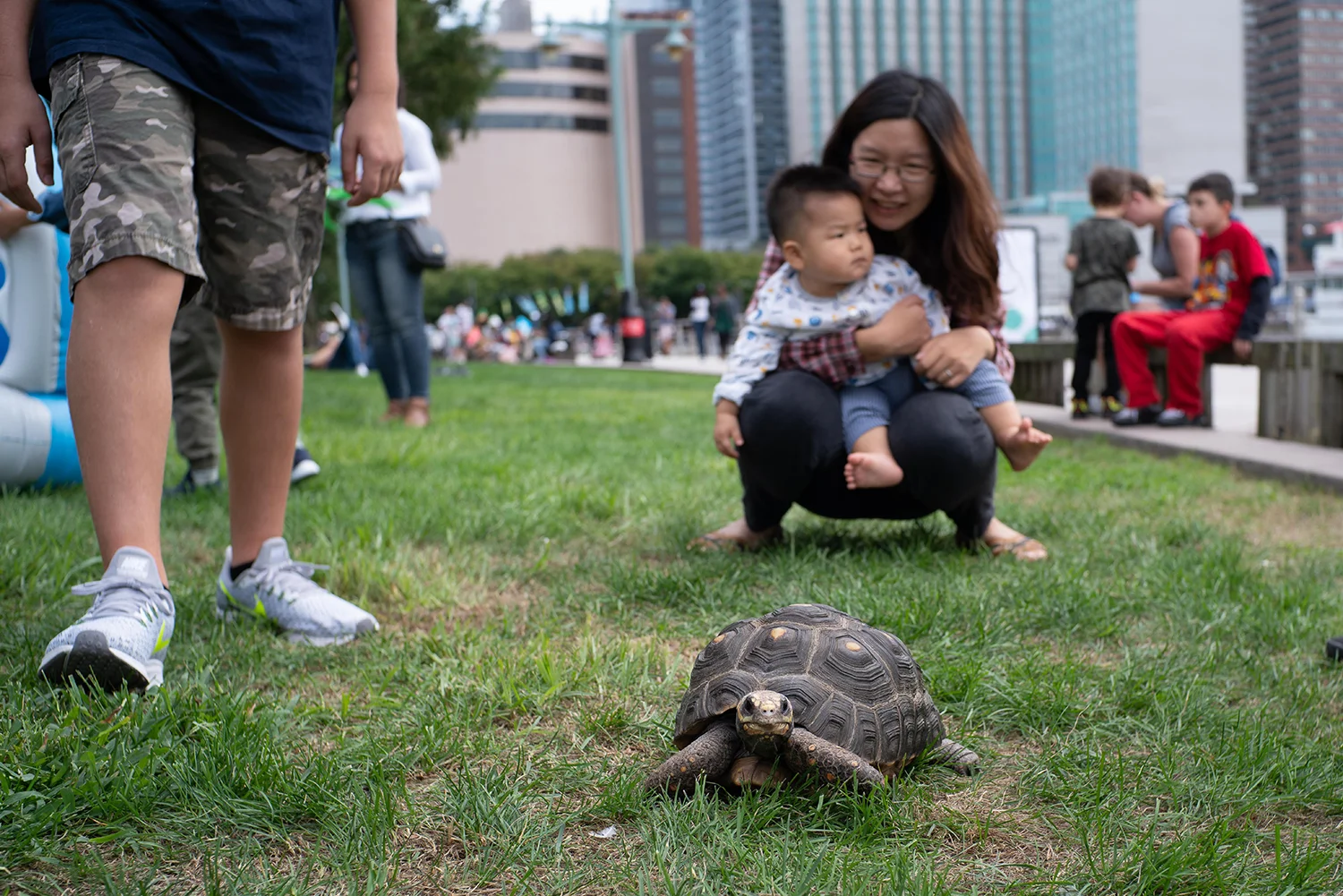Visitors observe Pele the Red Footed Tortoise small.jpg