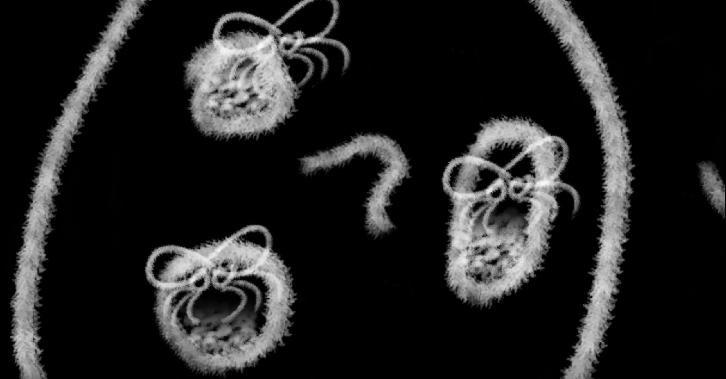 How Do Insects Help Solve Murders?