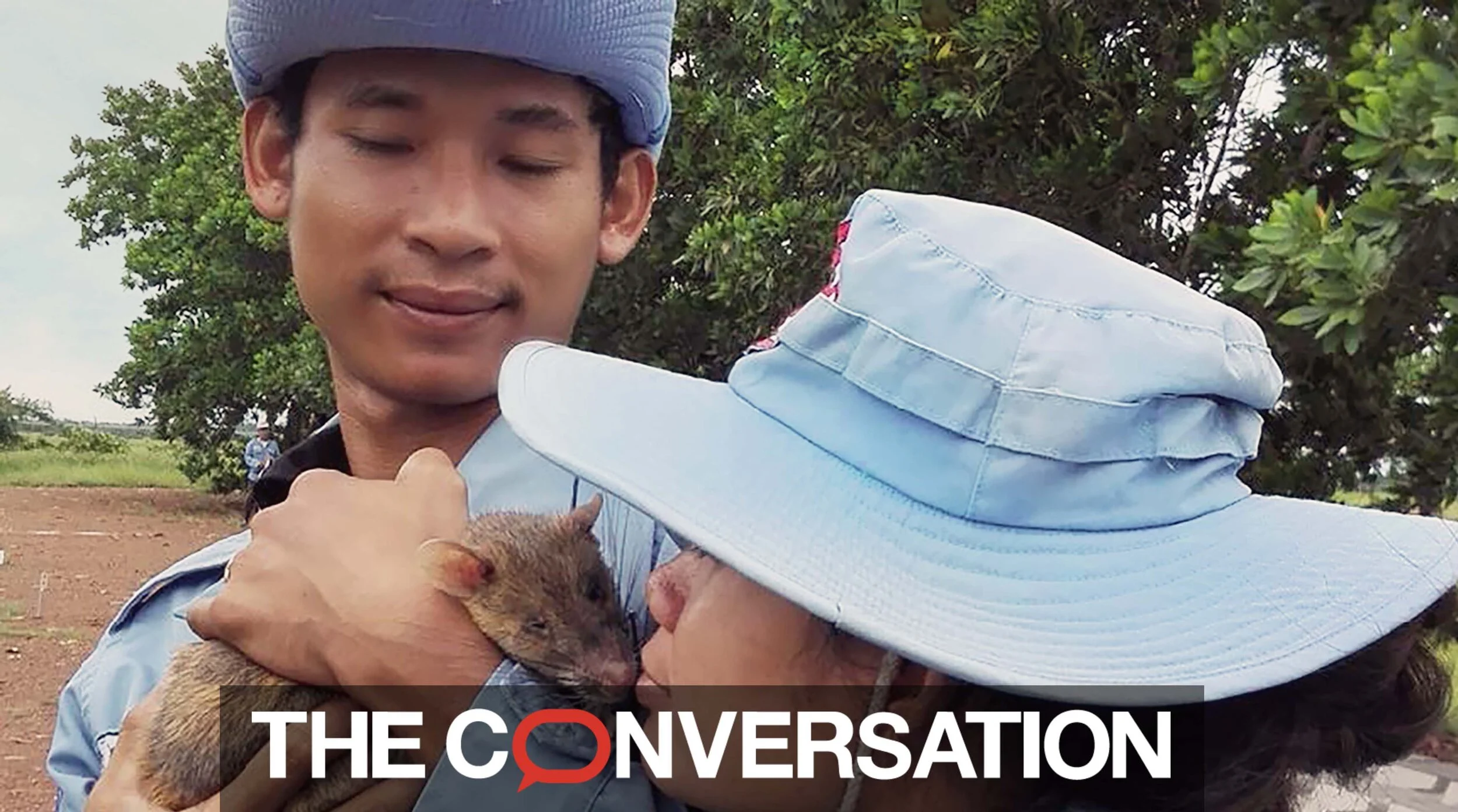 Rats help clear minefields in Cambodia - and suspicion of the military