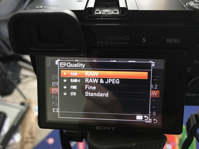 RAW file format - If you can, set your file format to RAW. RAW is uncompressed image, which gives you better image quality and more color range for you to tweak later. It is the best possible image you can get out of your camera!