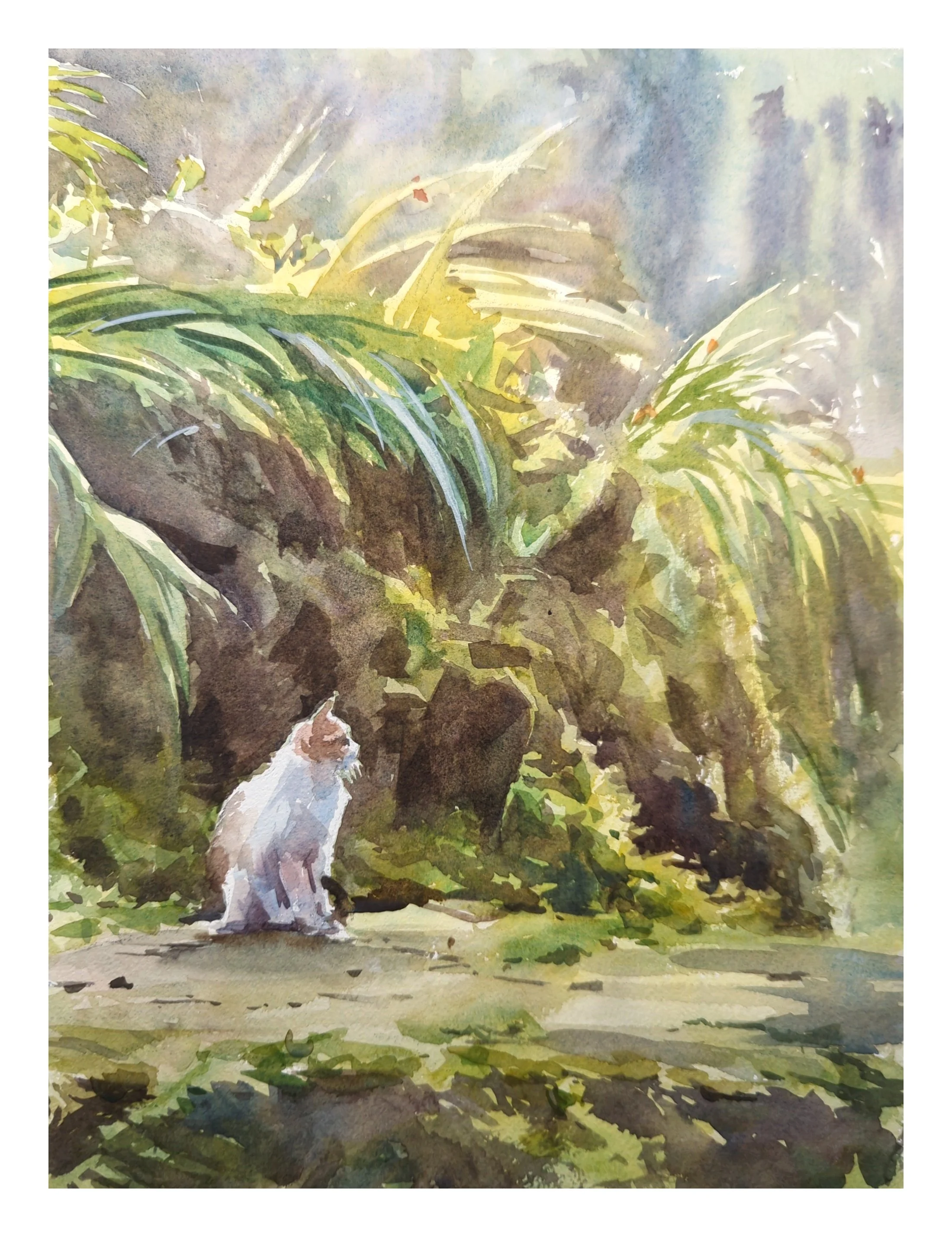 Cat in the mountain.jpg