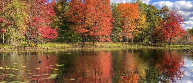 10 Amazon Fashion Must-Haves For Fall