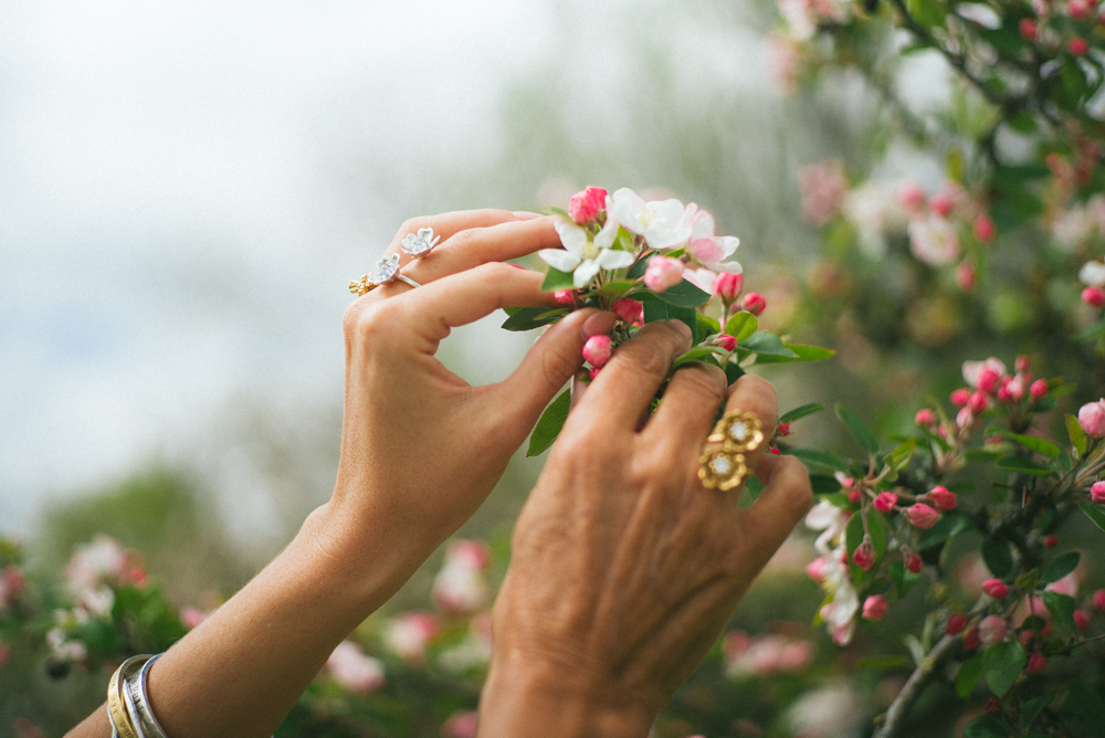 Silver May blossom-3.jpg