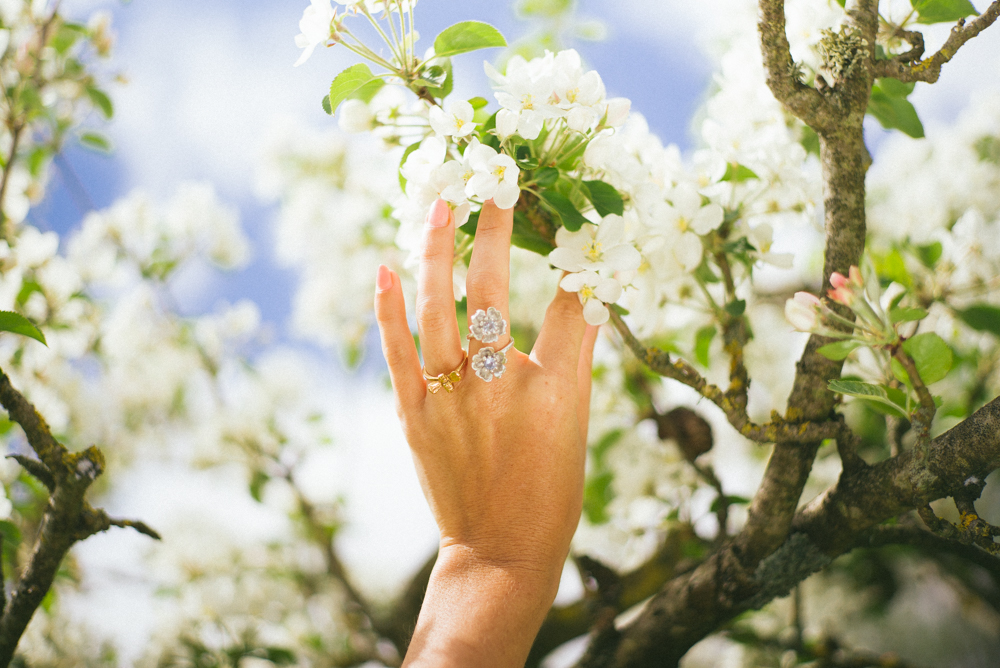 Silver May blossom-1.jpg