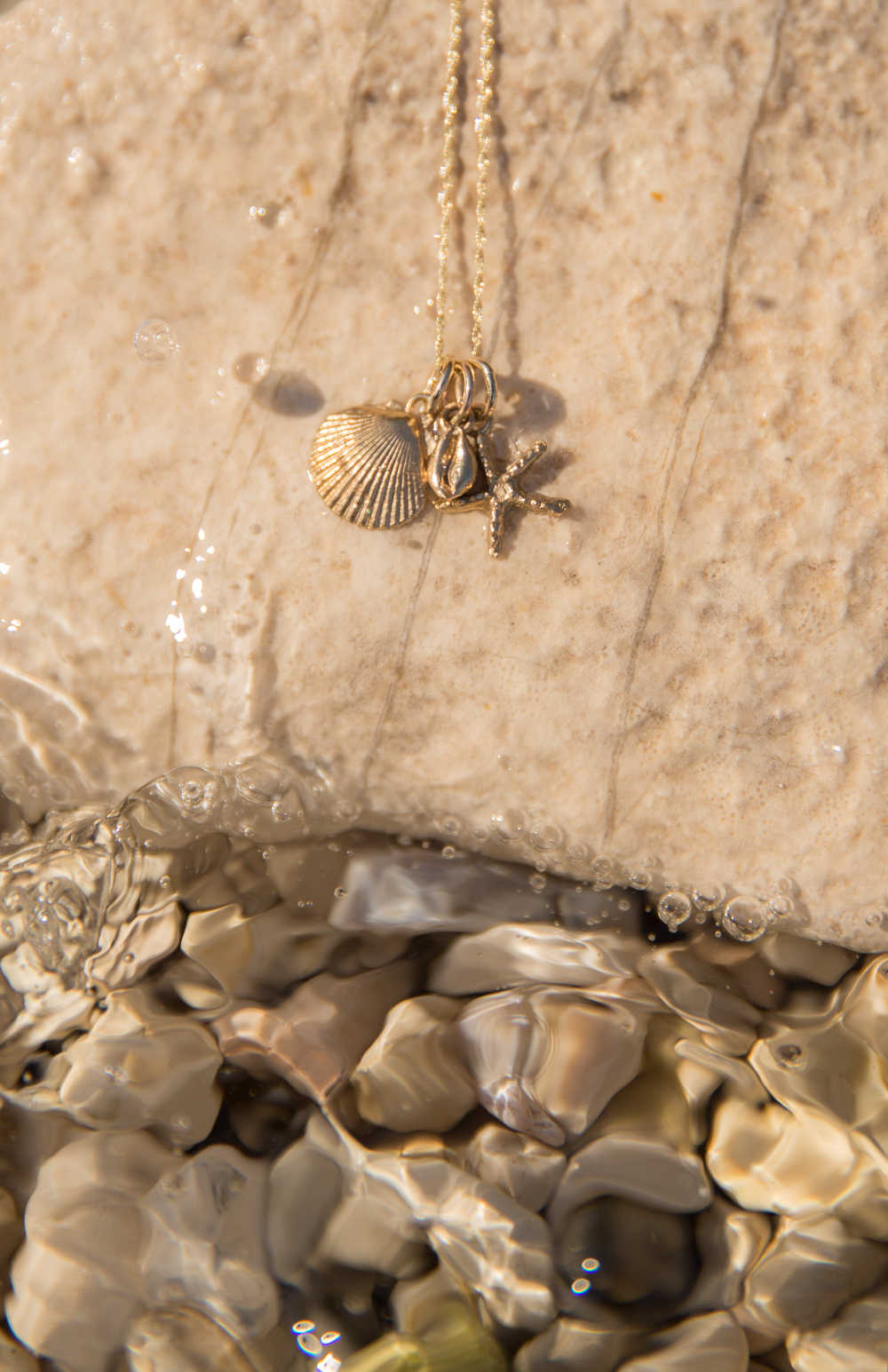 Silver May Small Gold Shells-2.jpg