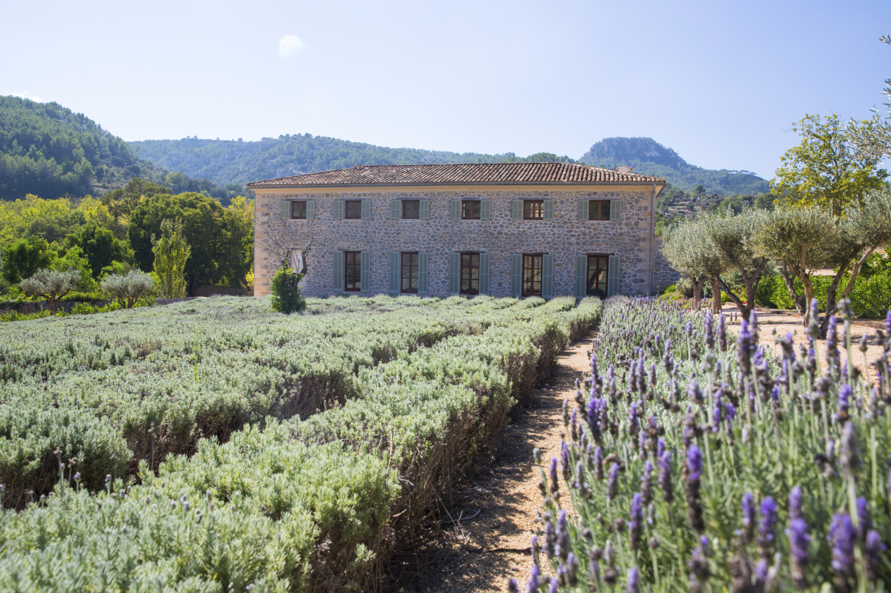 Exterior finca Sa Vinya