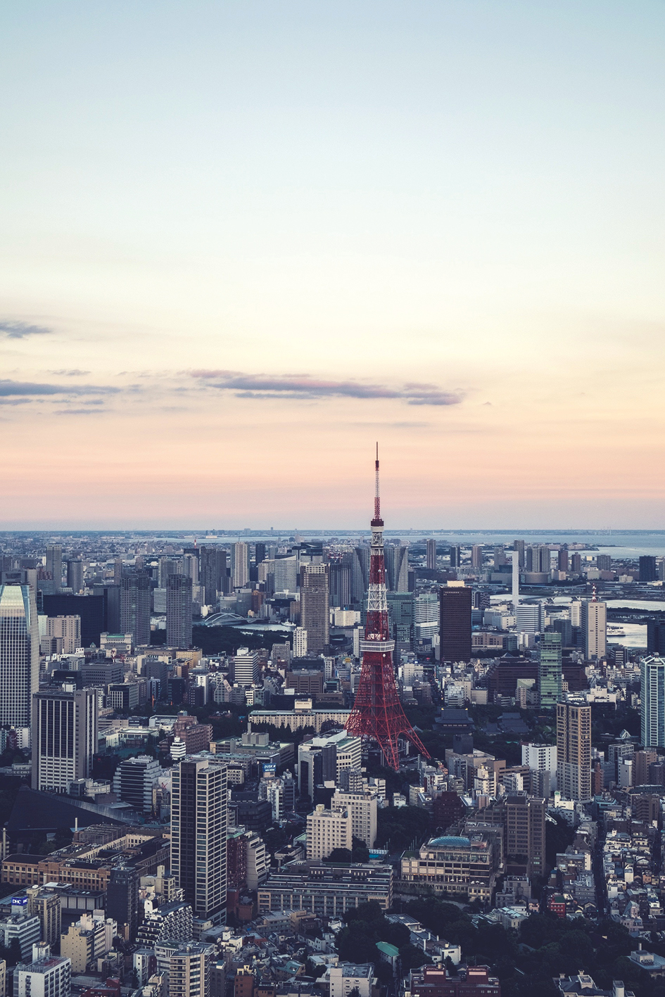 Nuestro viaje comienza en Tokyo , la ciudad más poblada del mundo.