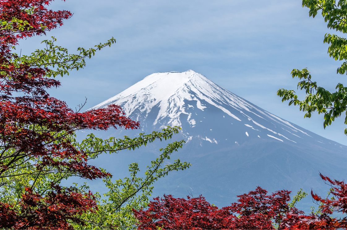 Hakone . VISTAS AL MONTE Fuji.