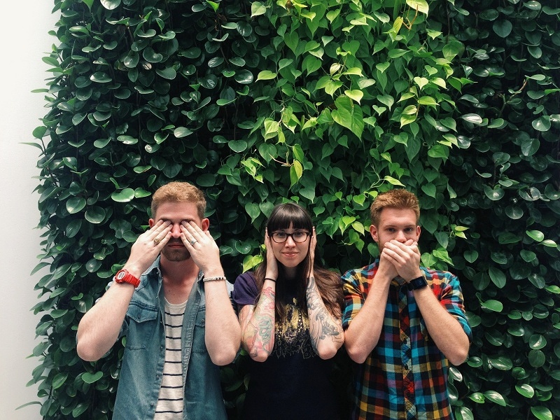 Vines from the Living Wall at Instagram HQ