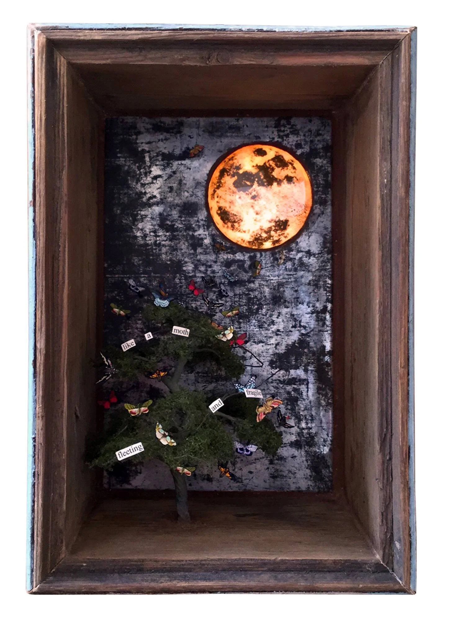 moon.jpg