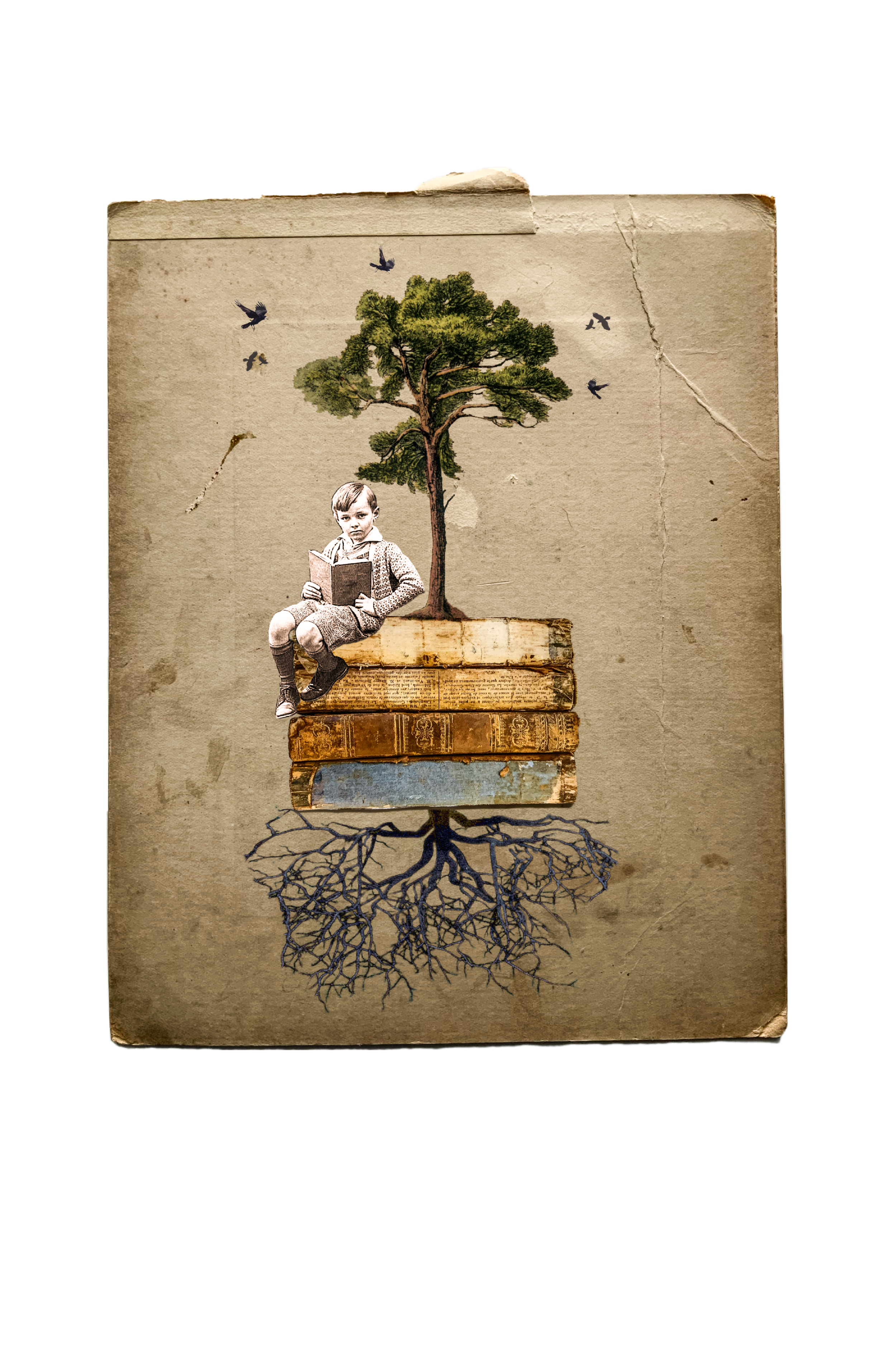 347D761B-E570-4A20-99A3-0B60C3FCF524.png