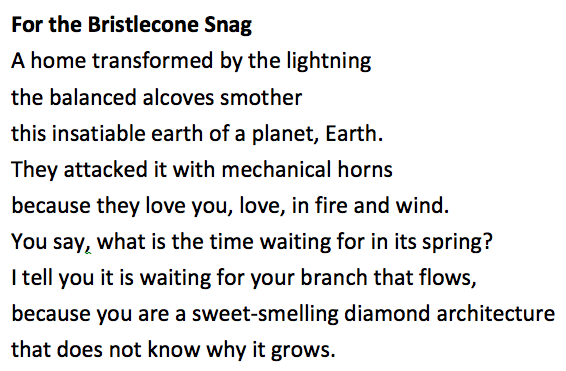 This poem was good enough for publication in Duke University's student-run literary journal. The editors had no idea it was actually written by a computer program .