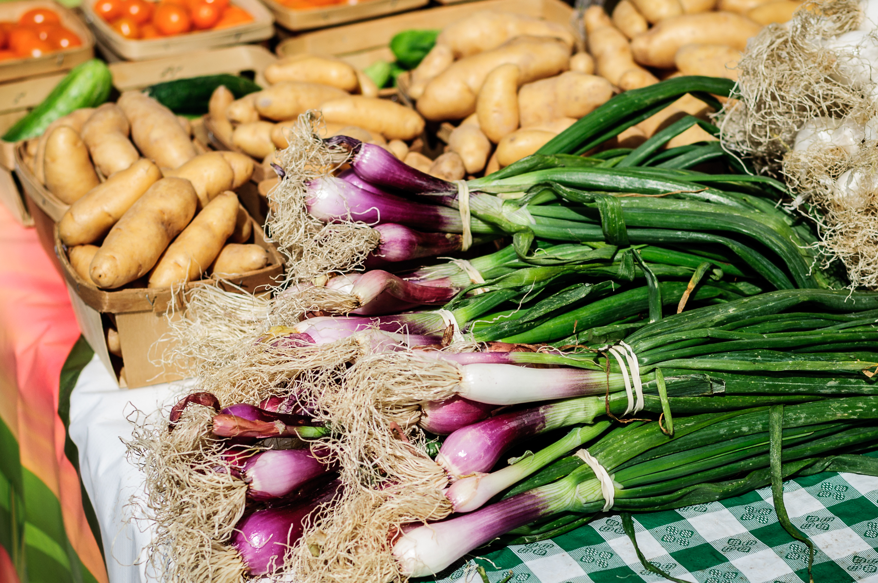 Farmers representing the Denison Farmer's Market had booths set up providing locally grown produce.