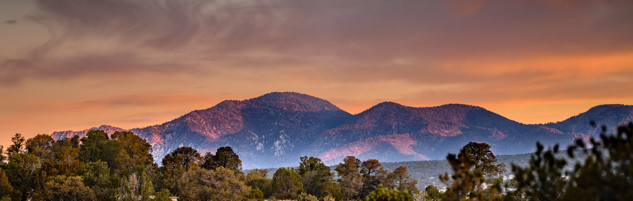 Evening Colors in the Lincoln National Forest