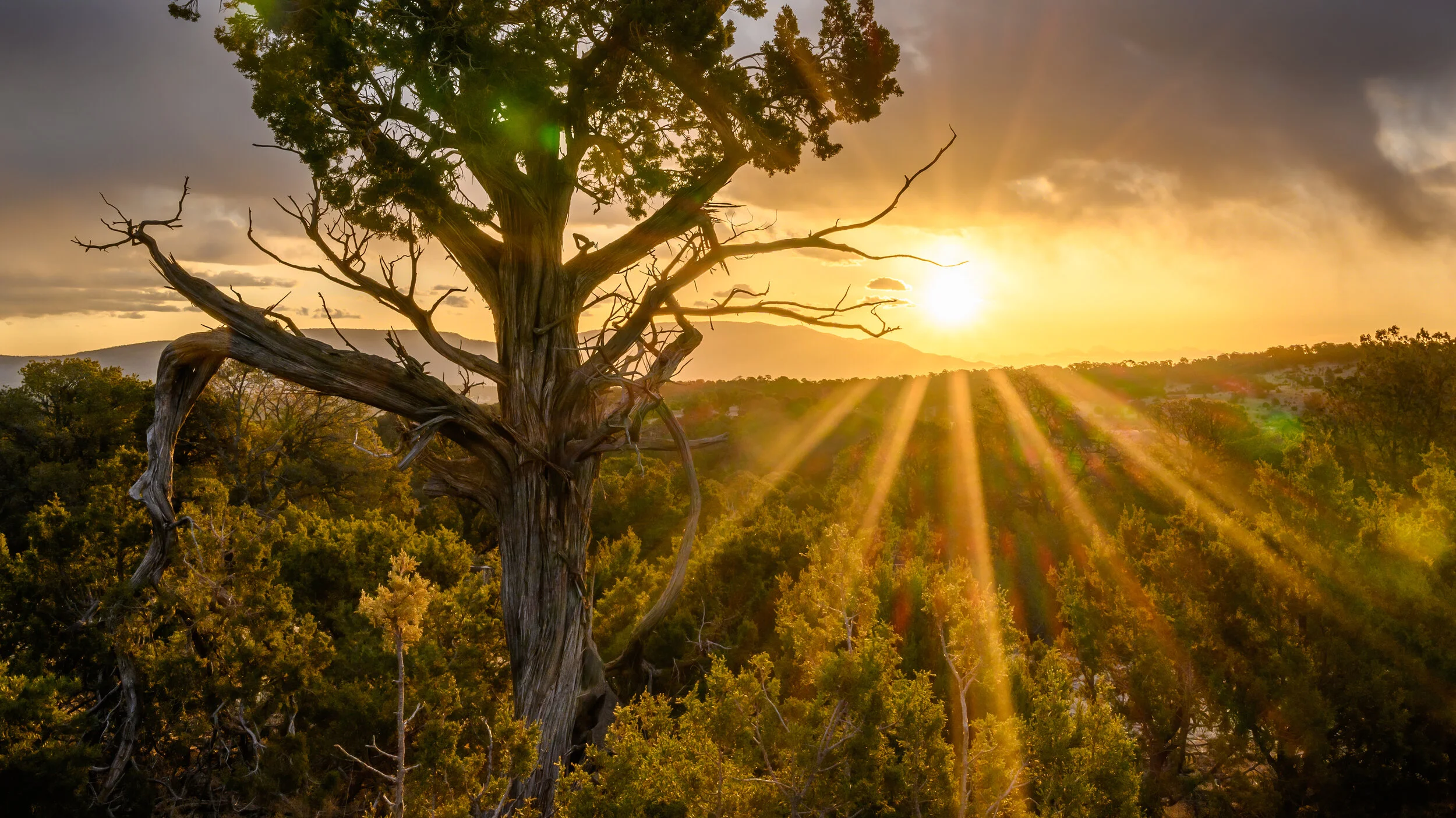 Sunrise in the Capitan Mountains