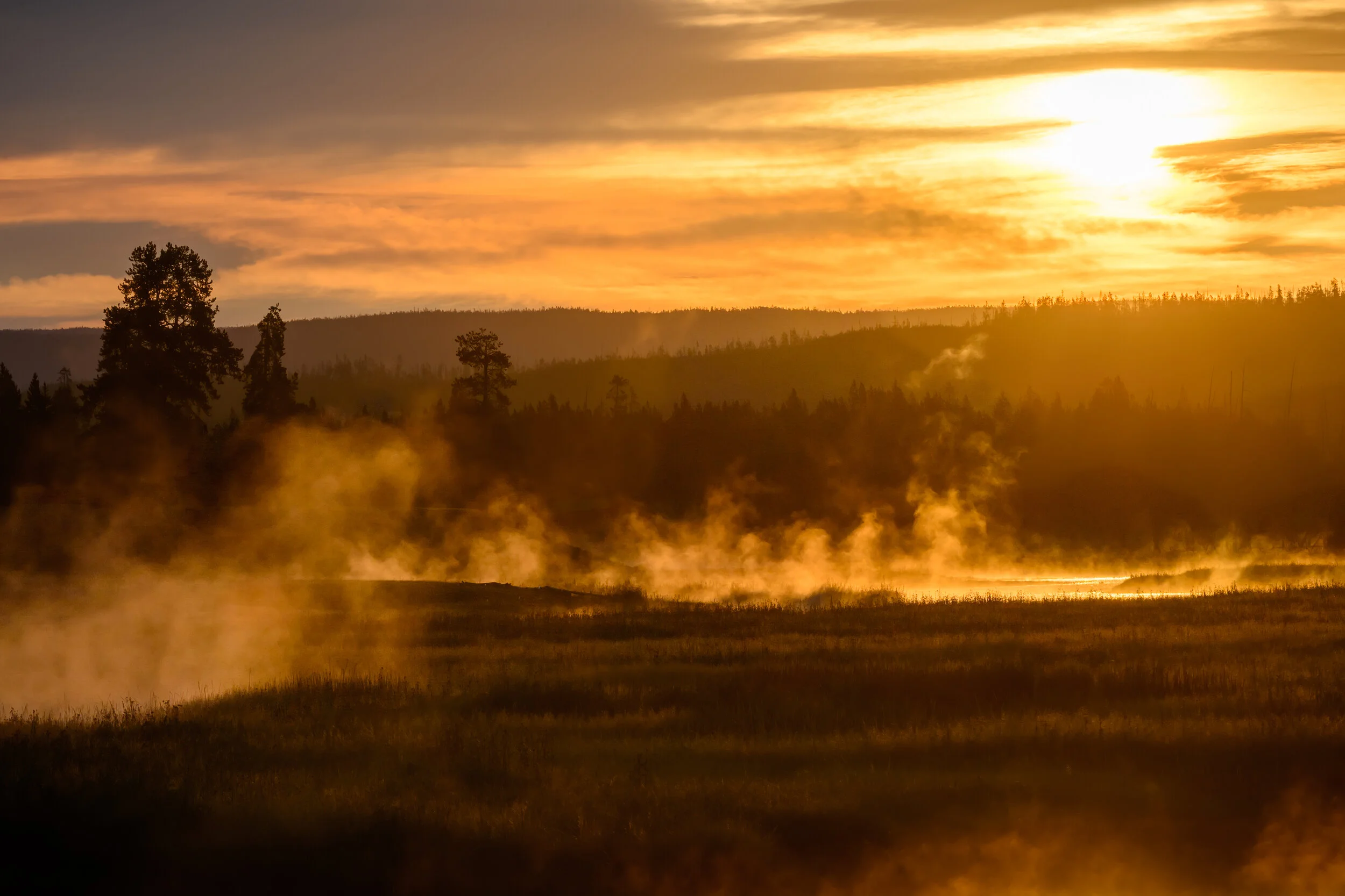 Morning Mist on the Madison River, Yellowstone National Park