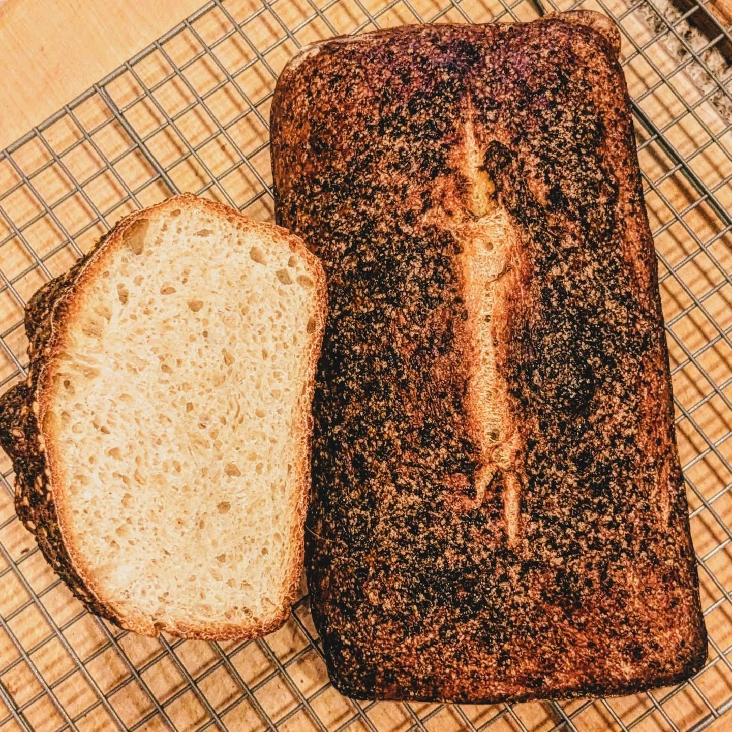 Nicholas made sourdough over the last two days, finished with an egg wash and togarashi, and it. Is. So. DELICIOUS. Eating it with fancy Ronnybrook whipped garlic butter, salt, and fresh cracked black pepper. 👨🏼&zwj;🍳🍞🥖