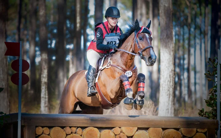 Blythequestrian10.jpg