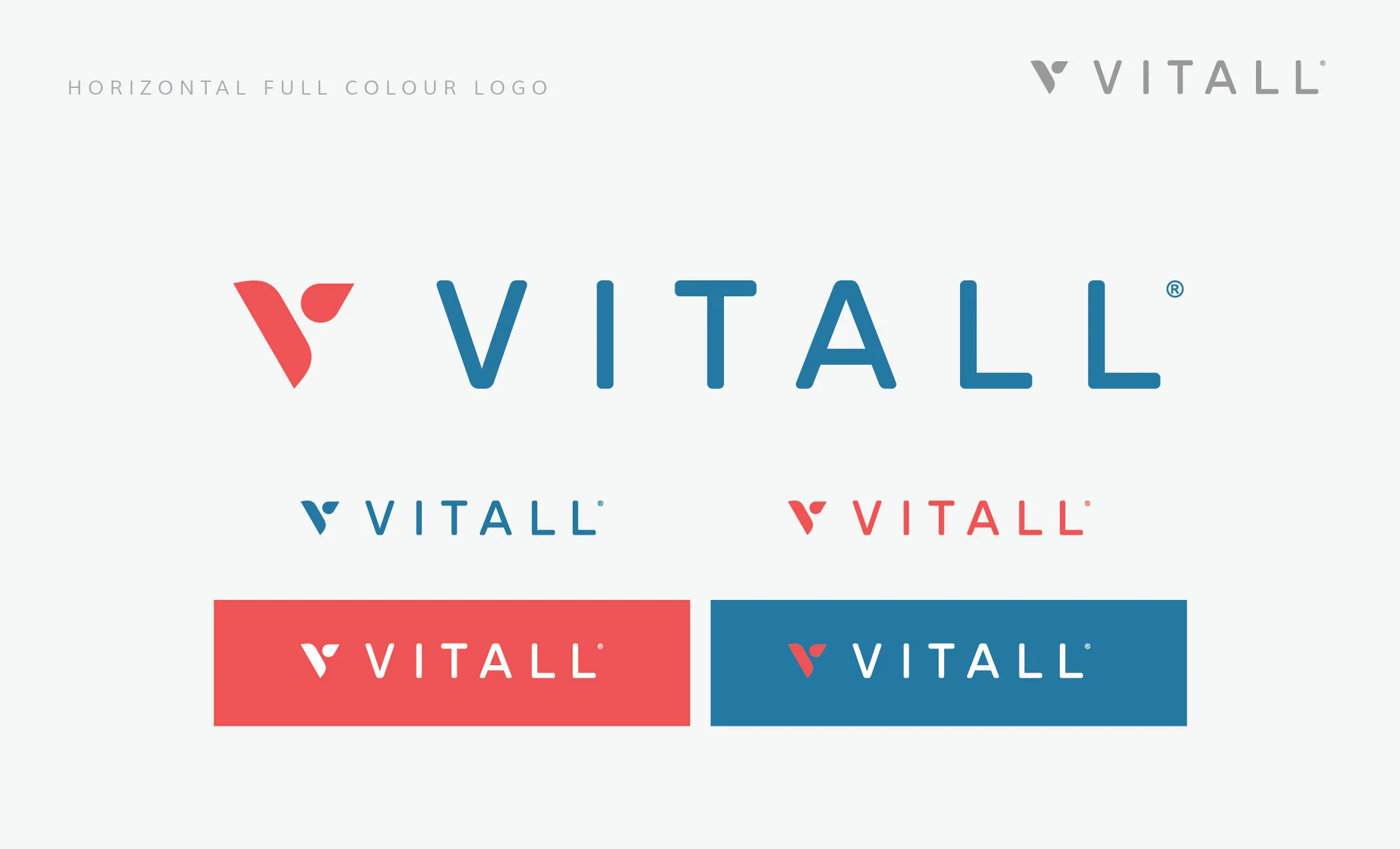 Style Guide (VITALL)-03.jpg