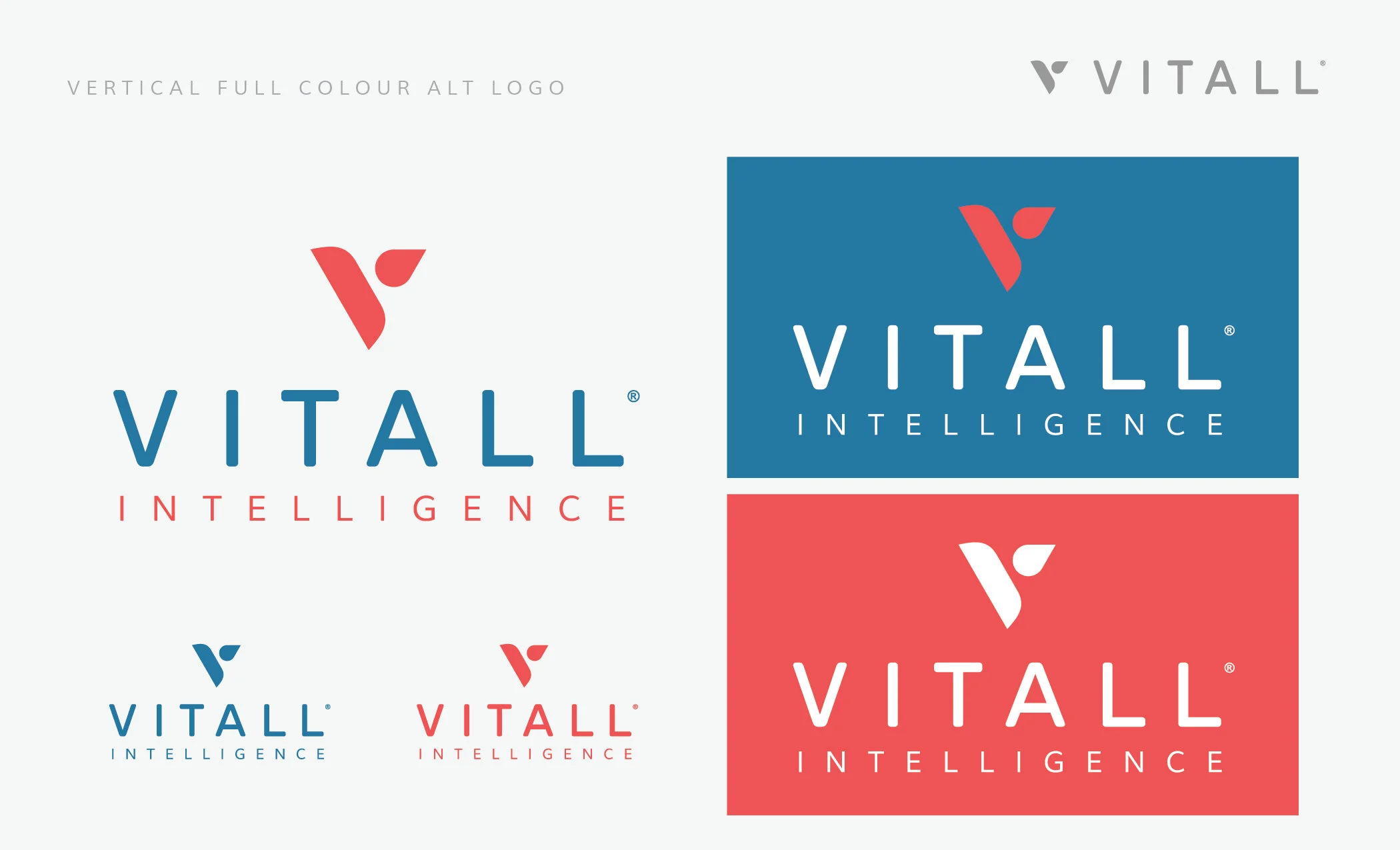 Style Guide (VITALL)-10.jpg