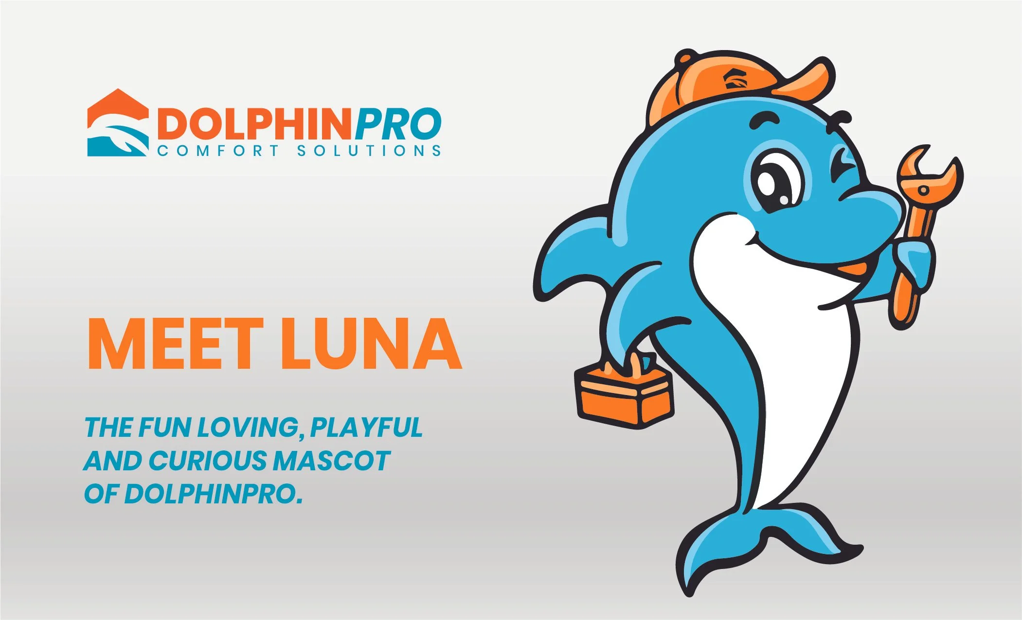 DolphinPRO HES Brand 3 Final-16.jpg