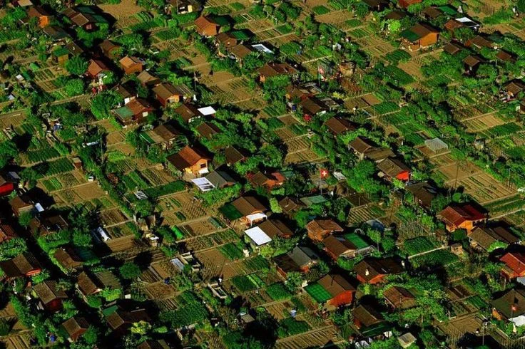 This isn't a fantasy. This could be your neighborhood.