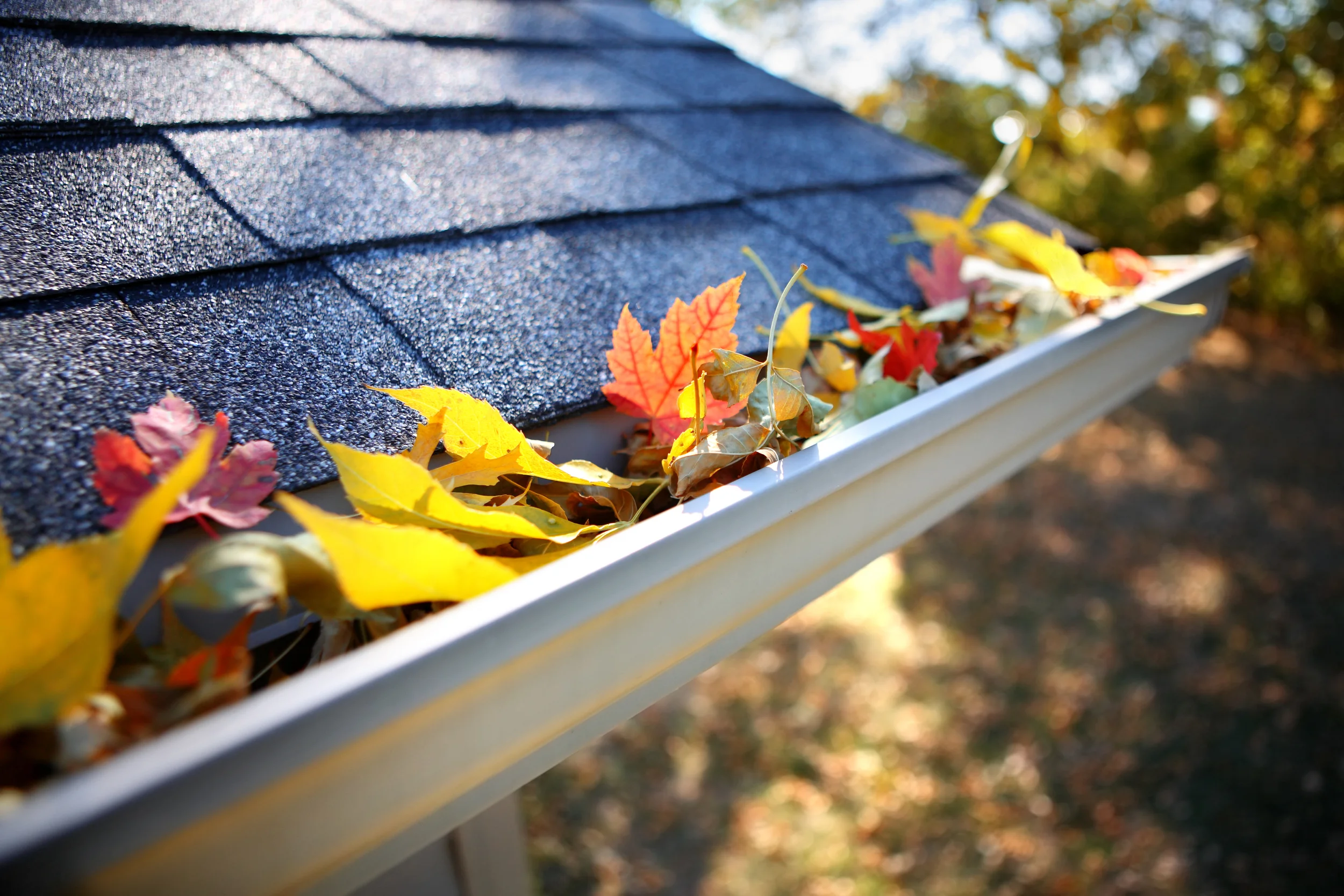 Gutters Photo.jpg