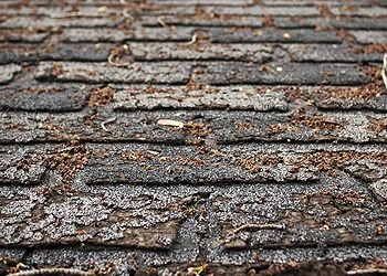How do you know when it’s time for a new roof?