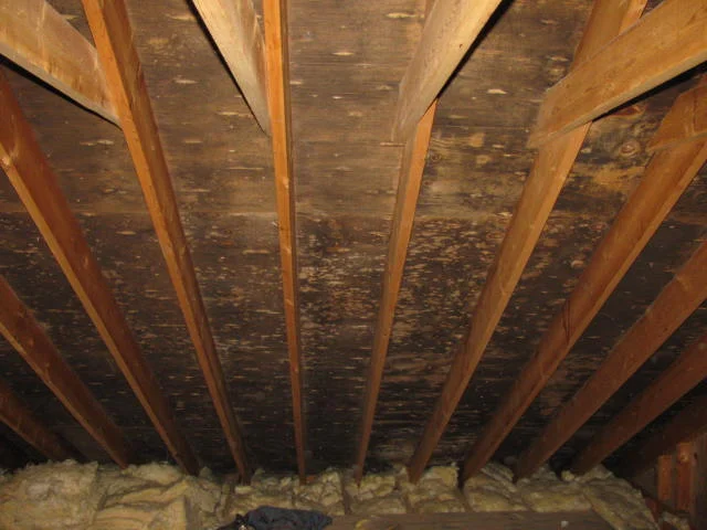 Don’t Let a Poor Installation Void Your Roof Warranty