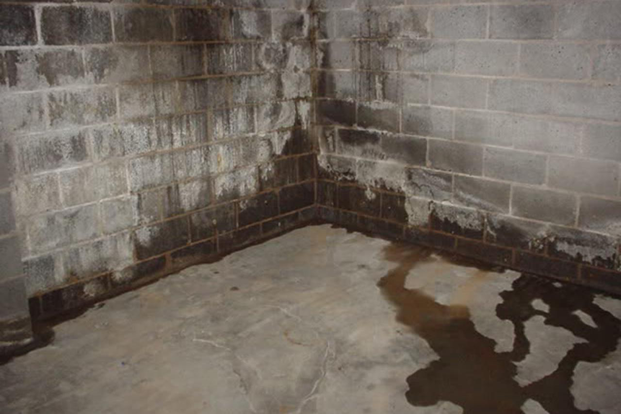 Spring is Prime Time for Basement Leaks