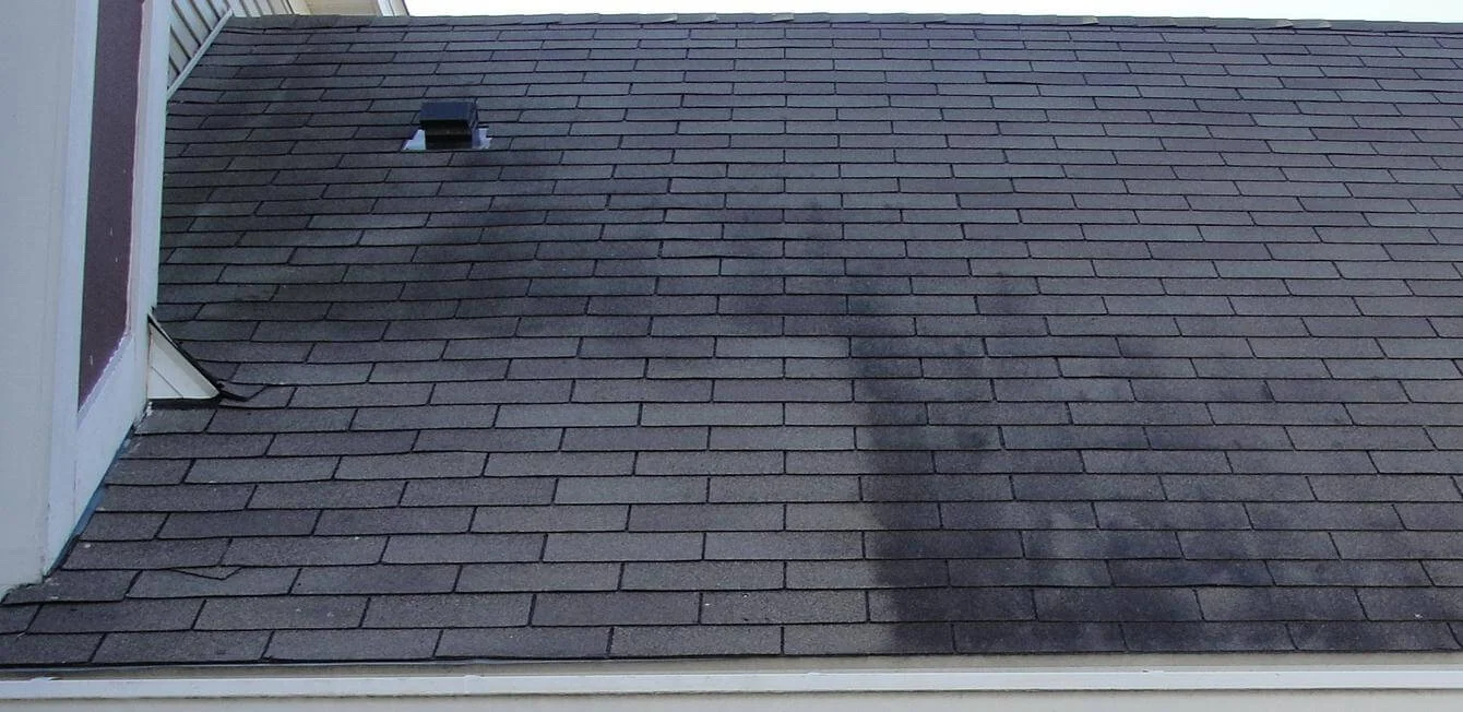 Get Rid of That Funky Roof Mold
