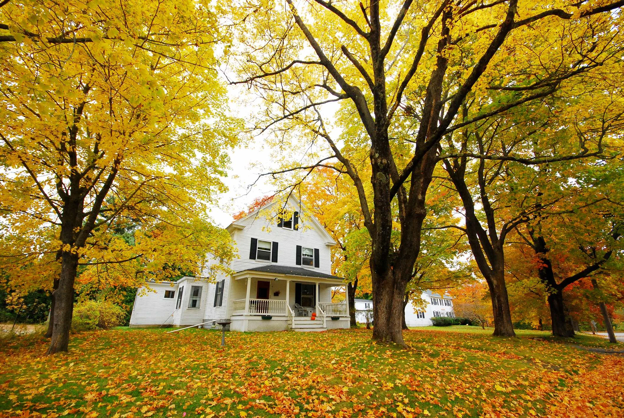 Smart Jobs For Homeowners To Beat the Winter Blues