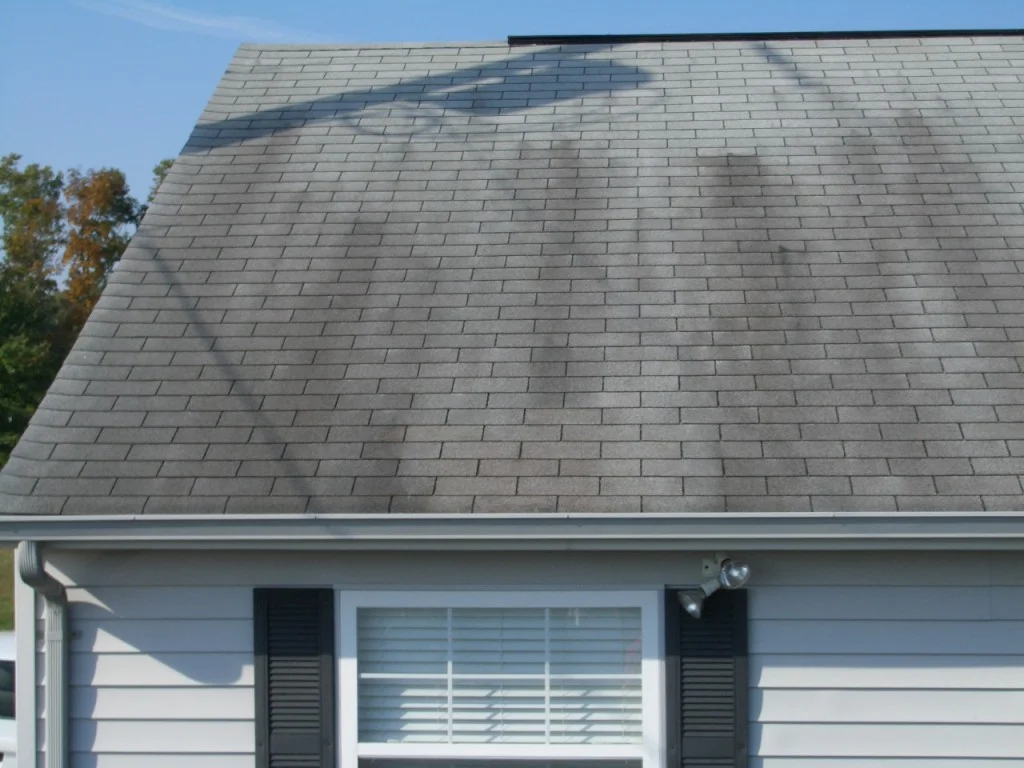 Get Rid of That Funky Roof Mold