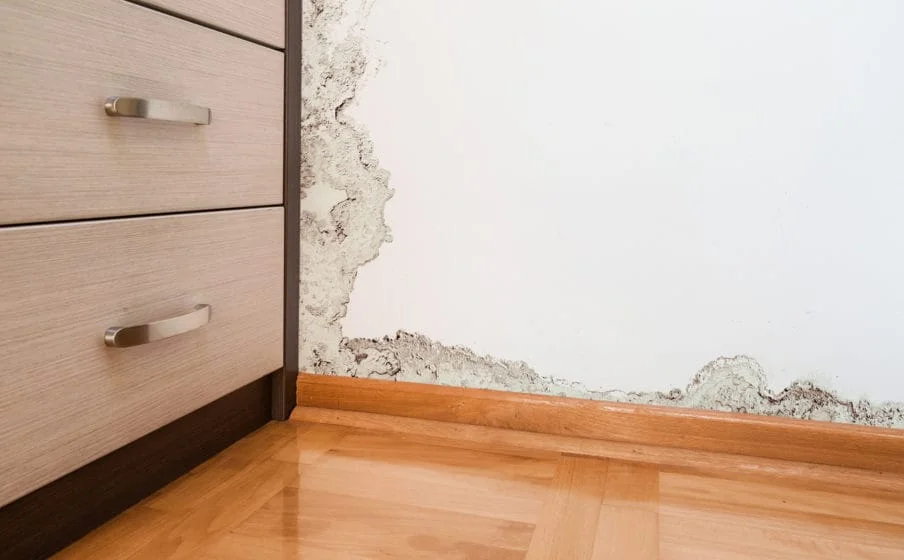 Ventilation is Key to a Safe, Healthy Home