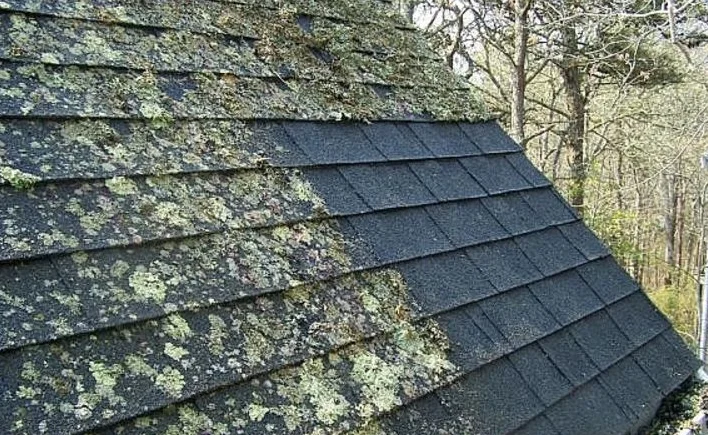 April Showers Bring Roof Mold