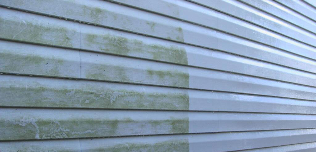 Mold on Vinyl Siding Shouldn’t Be Ignored