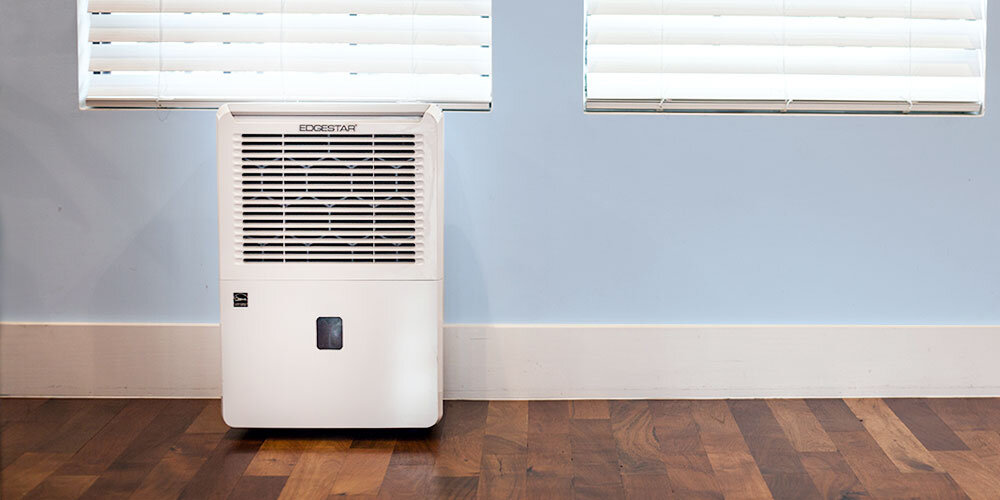 Dehumidify Your Air For a Mold-Free Home