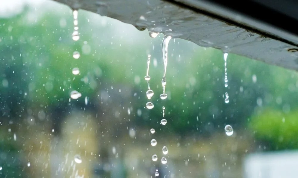 Rain Means Basement Leaks Abound in Spring