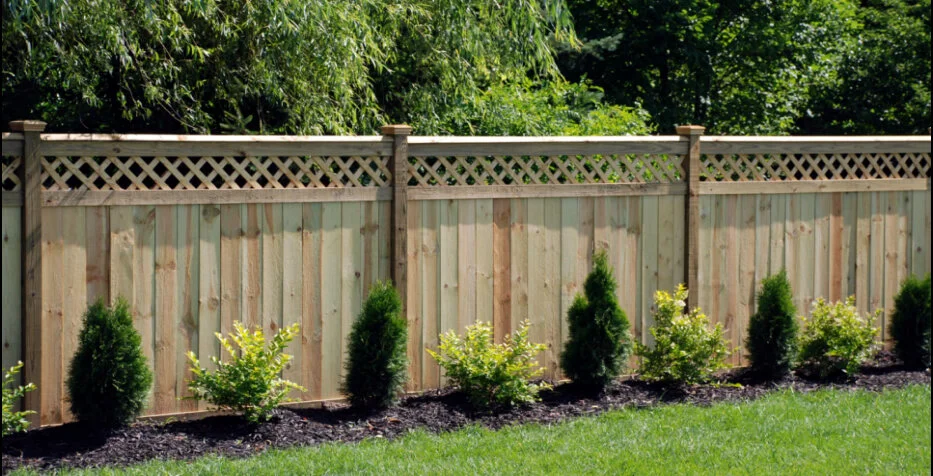 Fence Options for Backyard Privacy